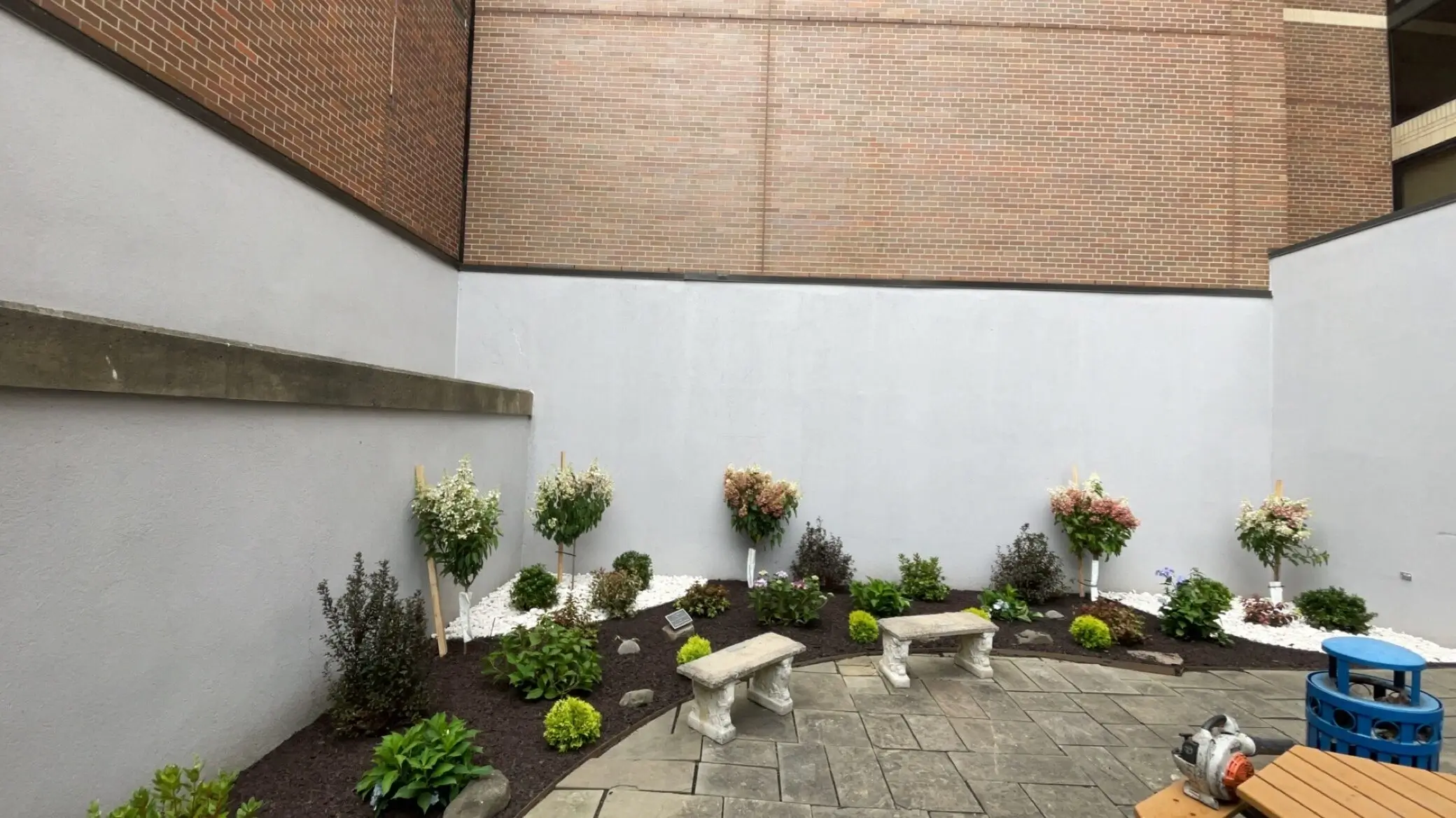 Gallery Image 6