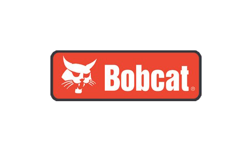 Bobcat