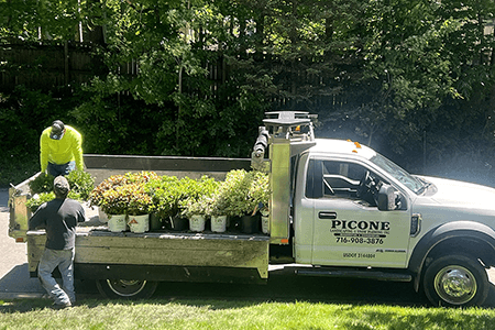Landscaping Buffalo NY
