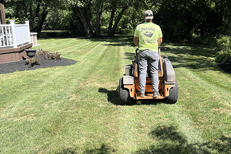 Lawn care Buffalo NY